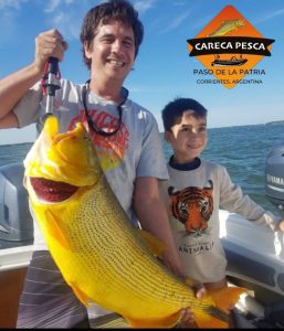 2a1d42f6-7b11-41db-9aff-ccc4dc4cab57